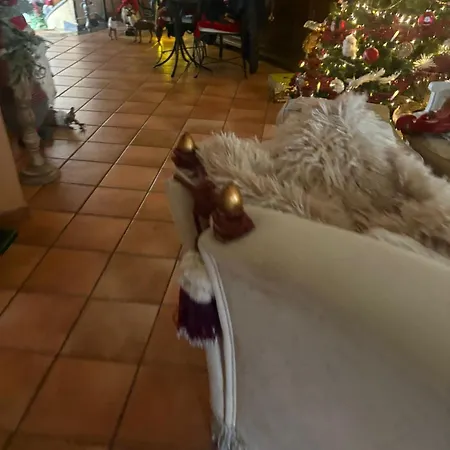 La Piccola Dimora 10 Apartamento Bolonha