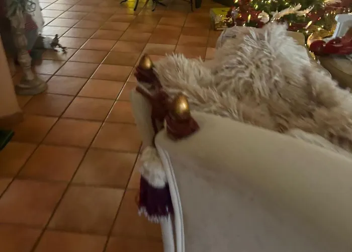 La Piccola Dimora 10 Apartamento Bolonha